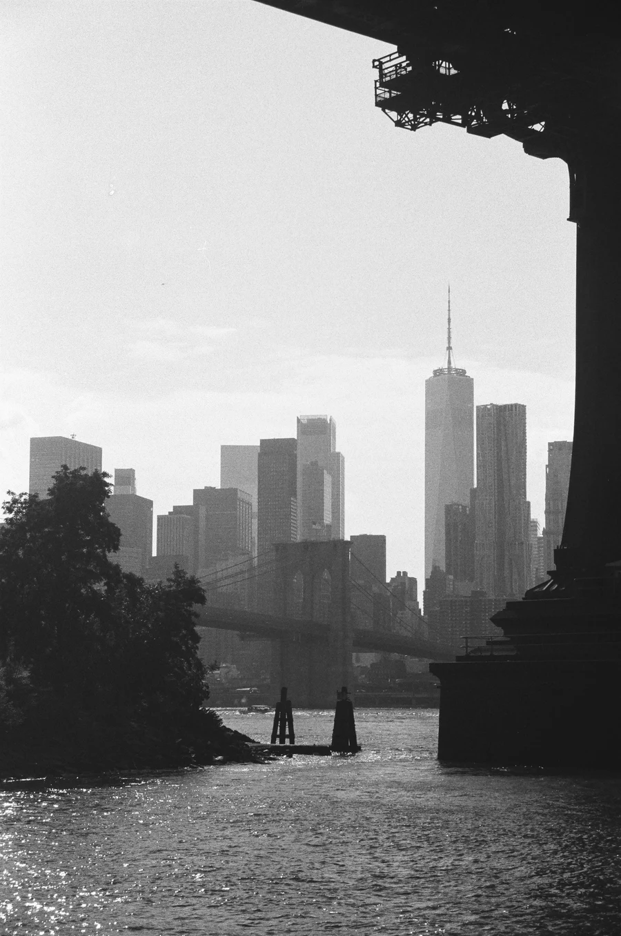 nyc on 35mm - 2024