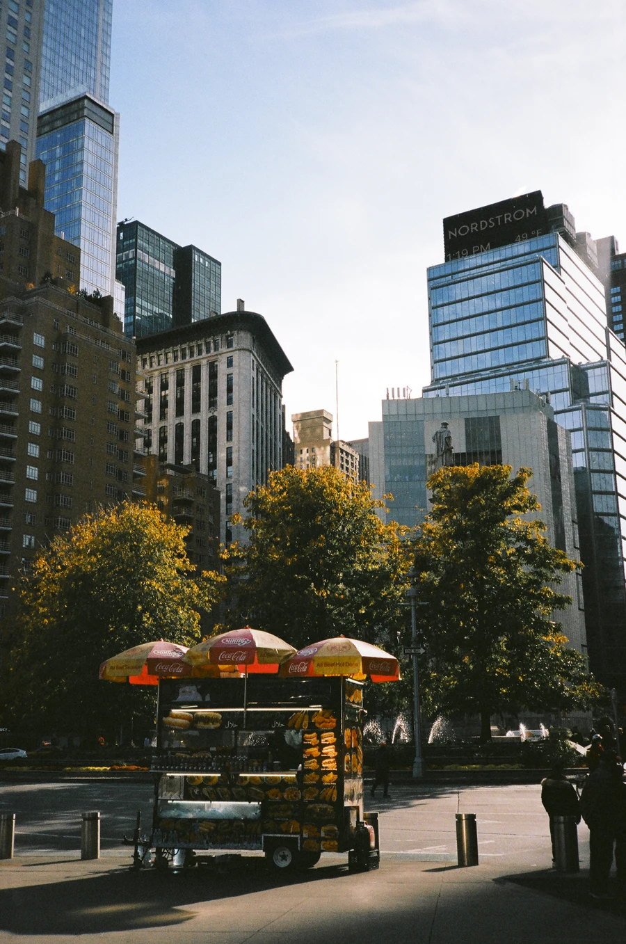 nyc on 35mm - 2024