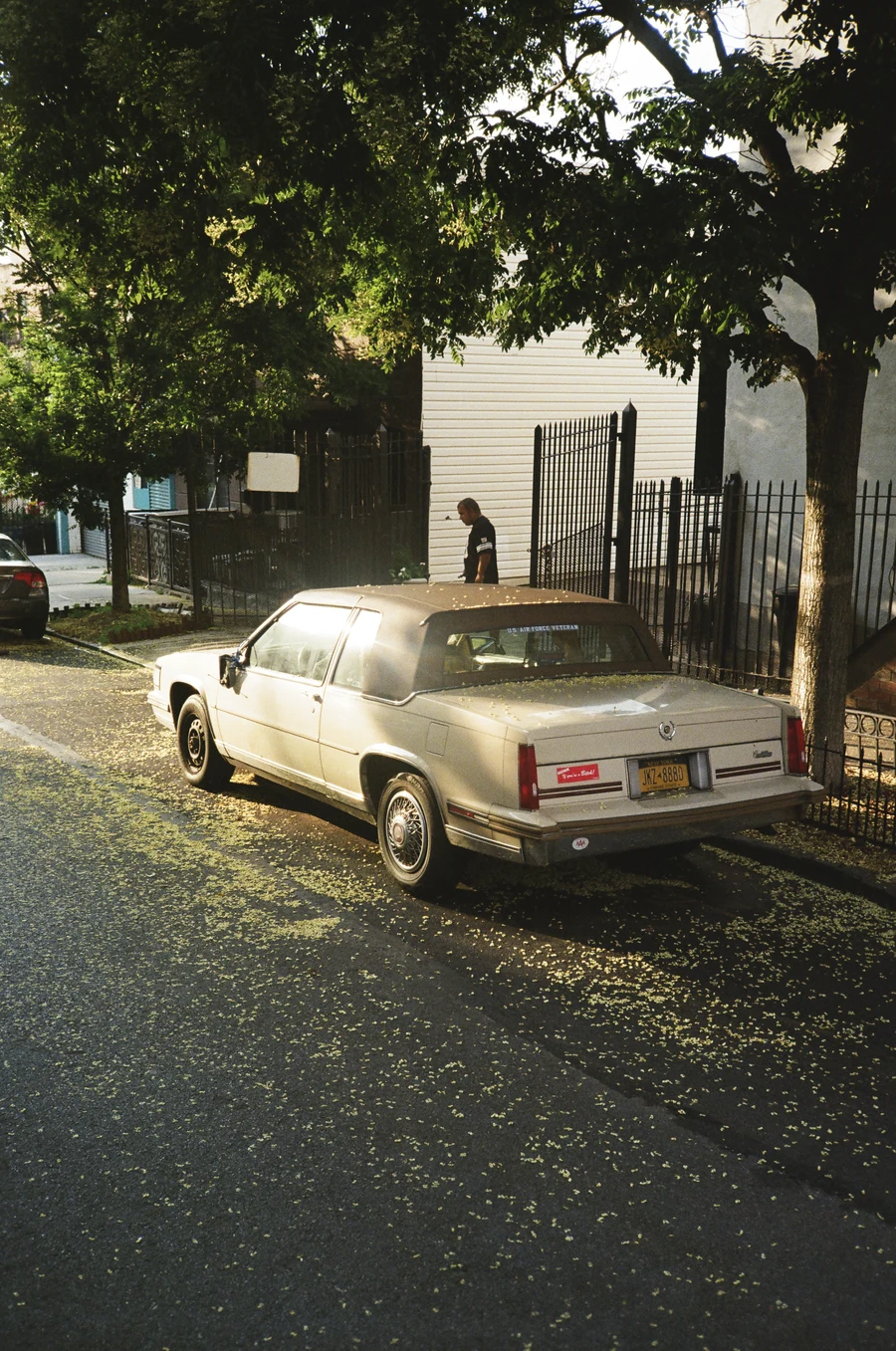 nyc on 35mm - 2024