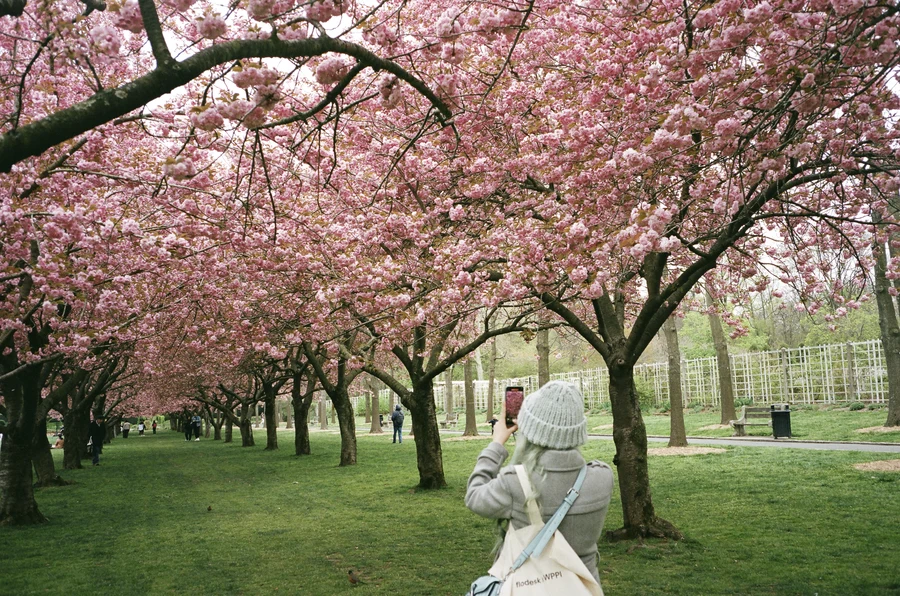 nyc on 35mm - 2024