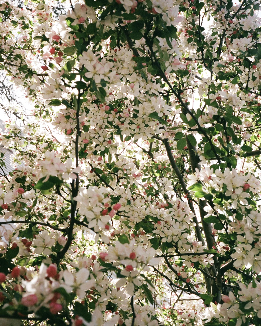 nyc on 35mm - 2024