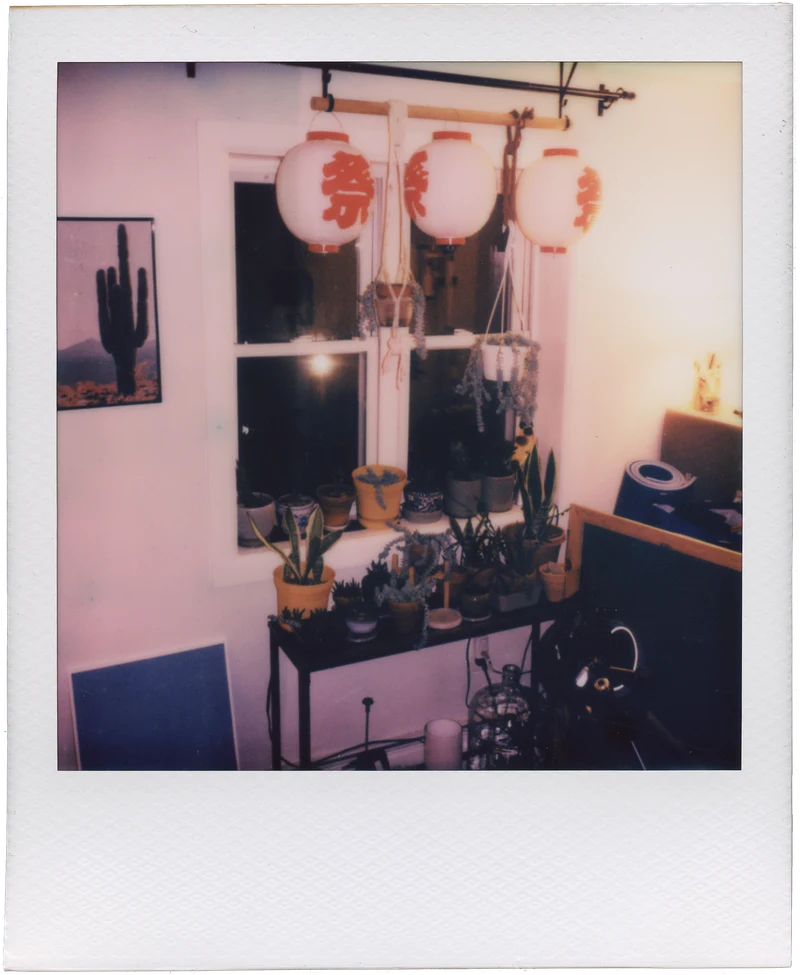 polaroid_I2_00105
