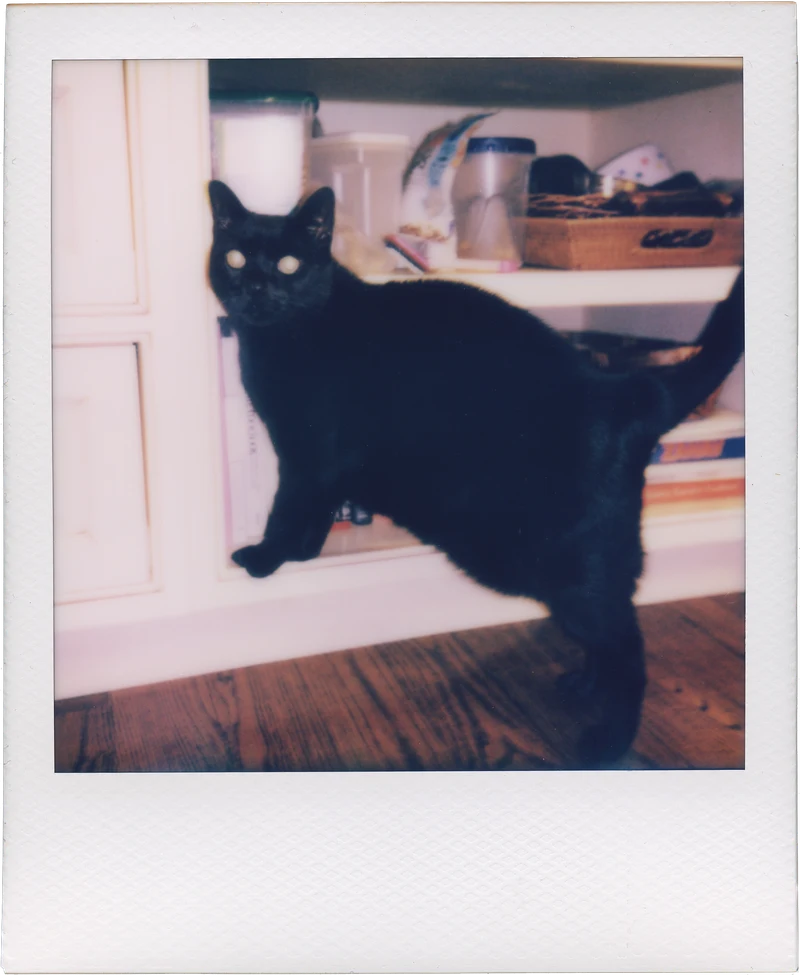 polaroid_I2_00507