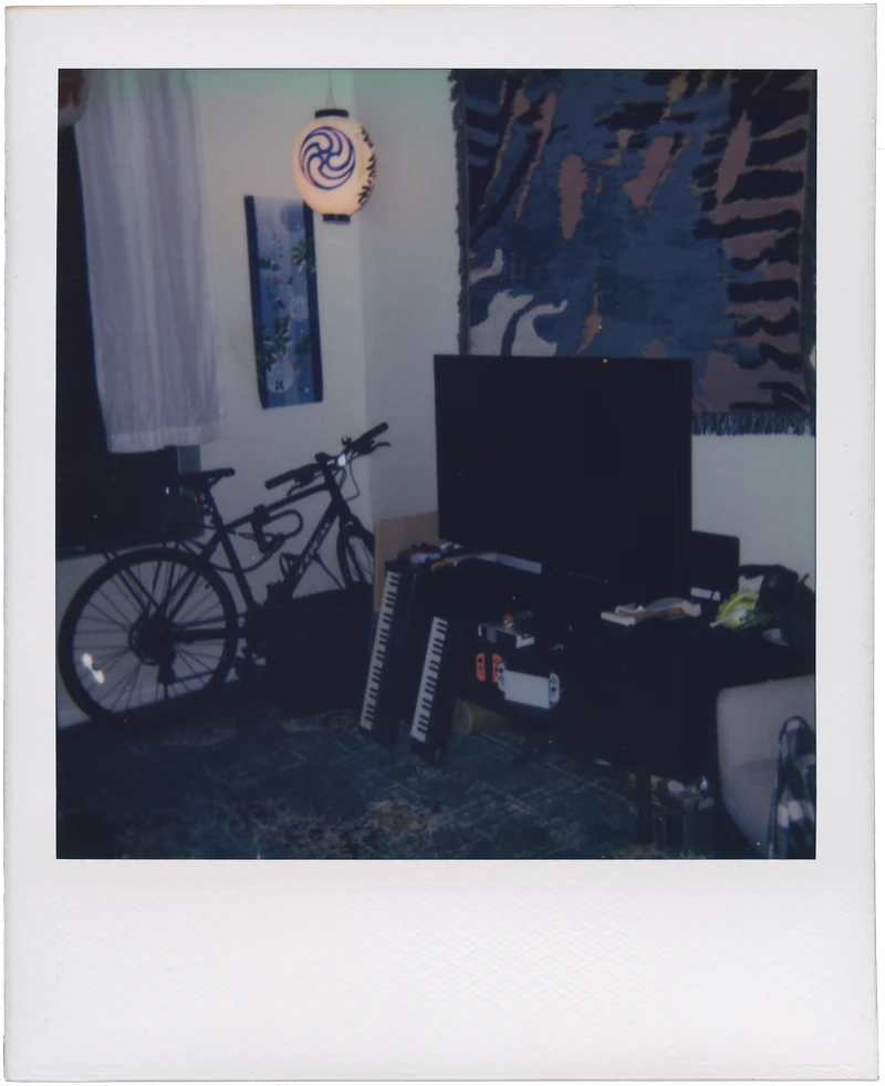 polaroid_onestep_00103
