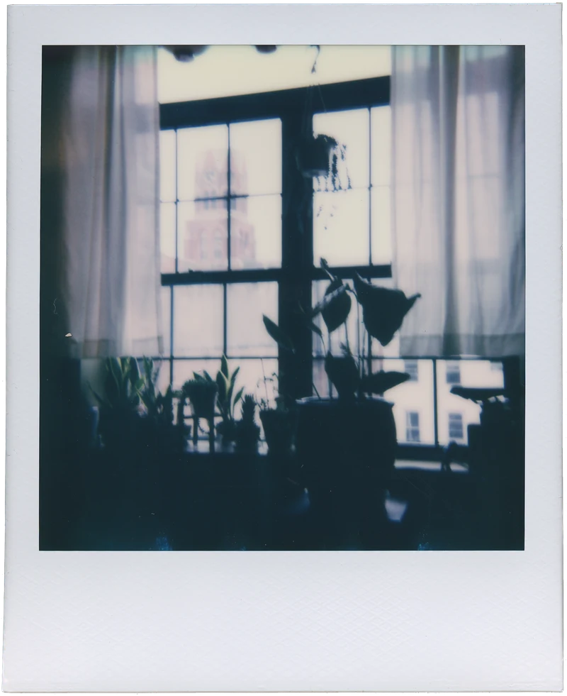 polaroid_onestep_00105