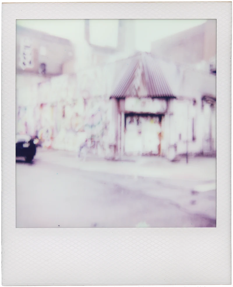 polaroid_onestep_00202